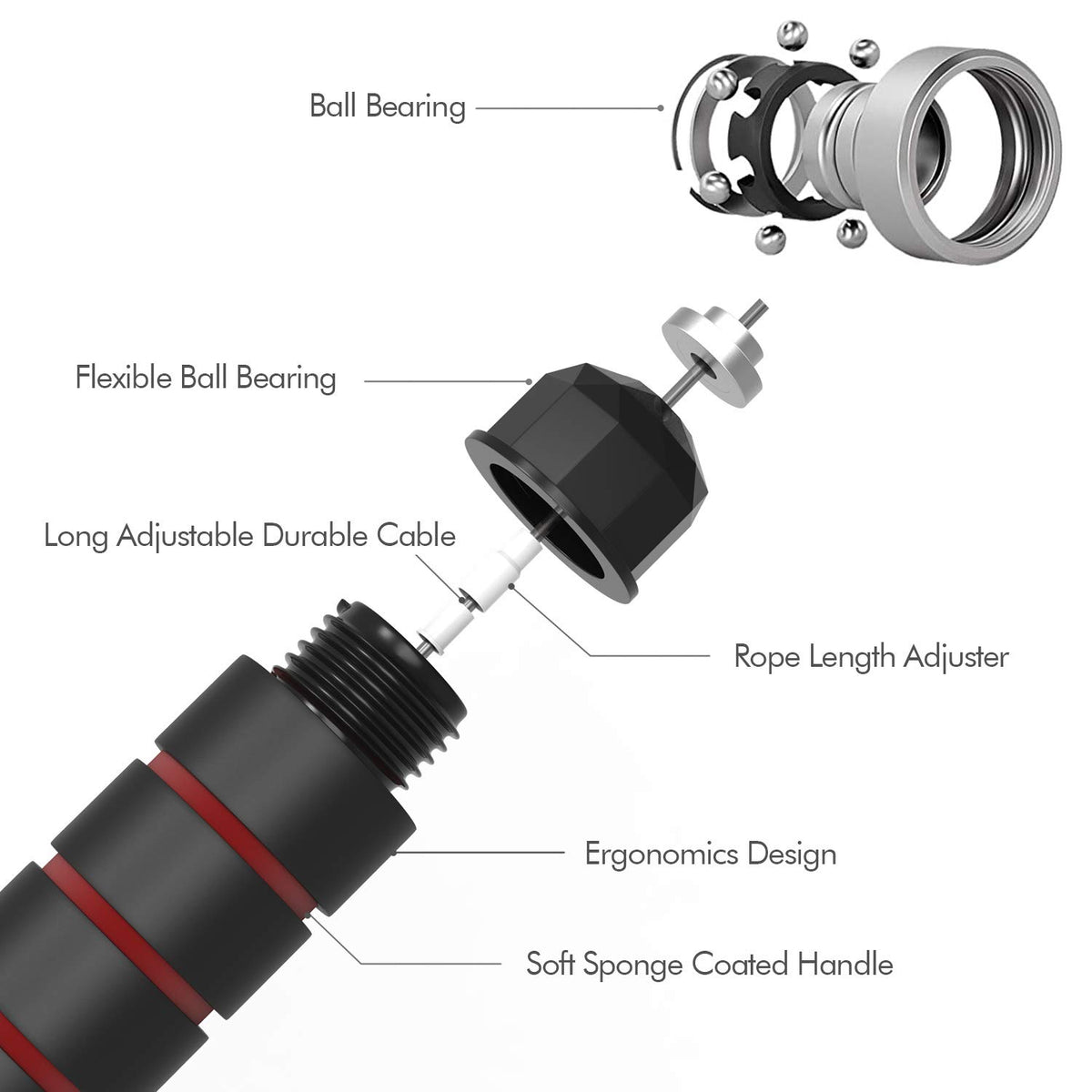 Speed Jump Rope with Ball Bearings — Adjustable, Tangle-Free