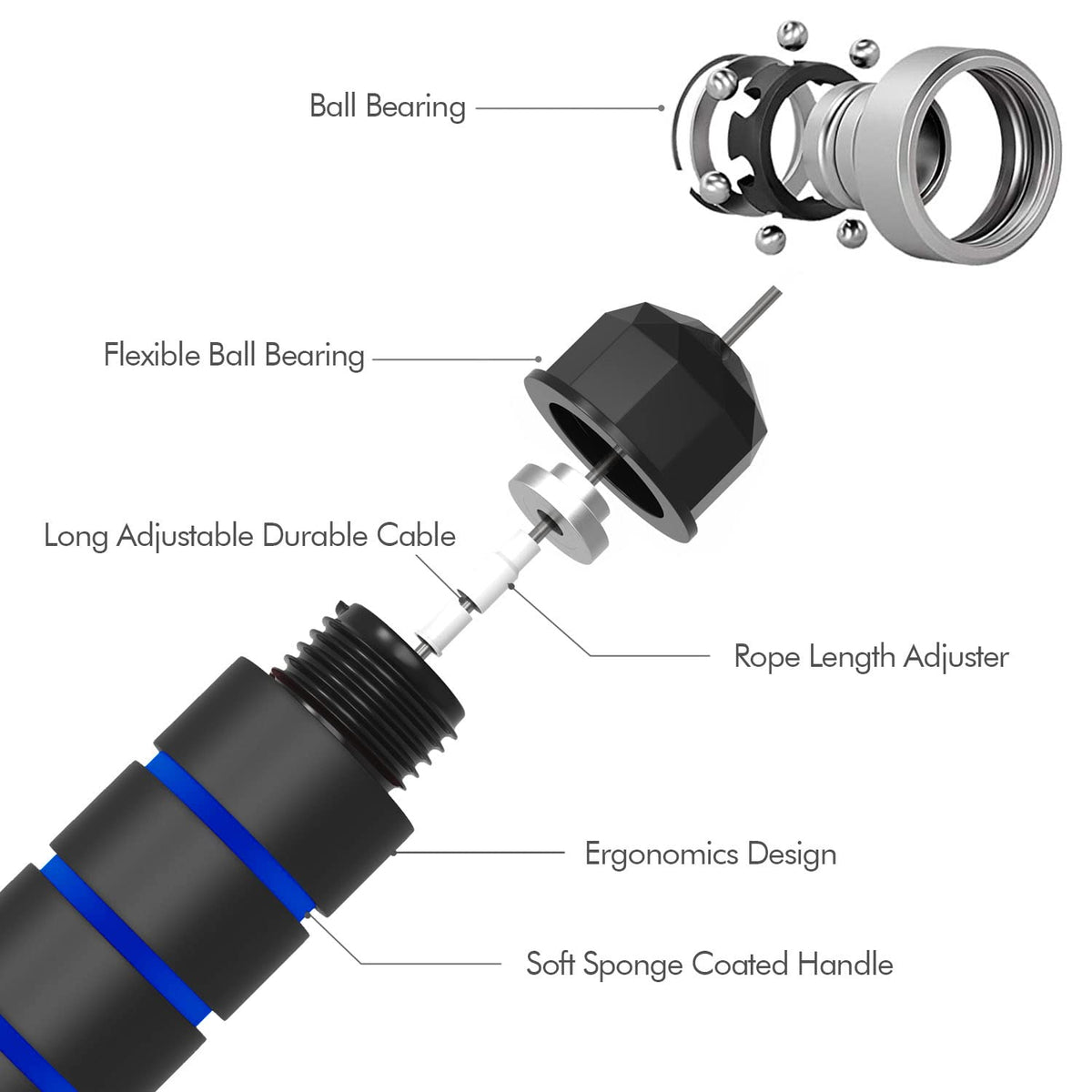 Speed Jump Rope with Ball Bearings — Adjustable, Tangle-Free